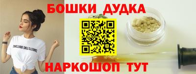 индика Ярославль