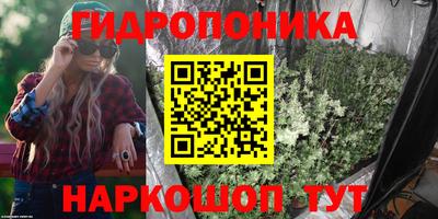 индика Ярославль