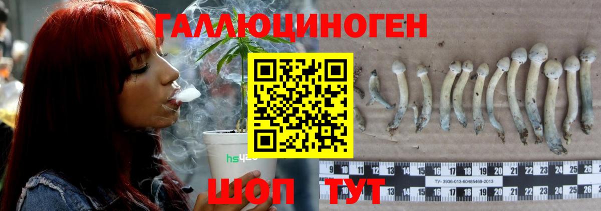 Галлюциногенные грибы MAGIC MUSHROOMS  Вход с VPN  Батайск 